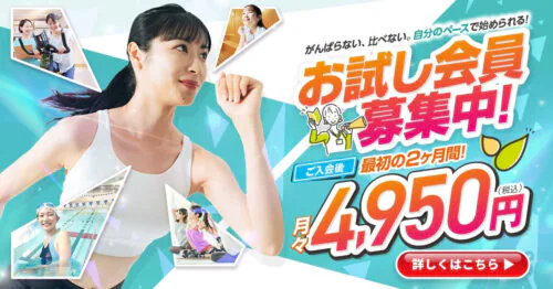 お試し会員募集中！2ヶ月間4,950円/月＆オプション2ヶ月無料！ チラシ画像