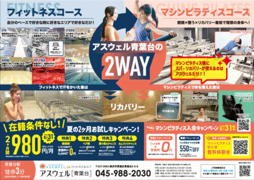 【8/31まで】夏のお試しキャンペーン実施中！2ヶ月980円/月！ チラシ画像