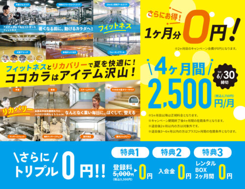 【6/30まで】4ヶ月間2,500円/月＋トリプル0円特典！ チラシ画像