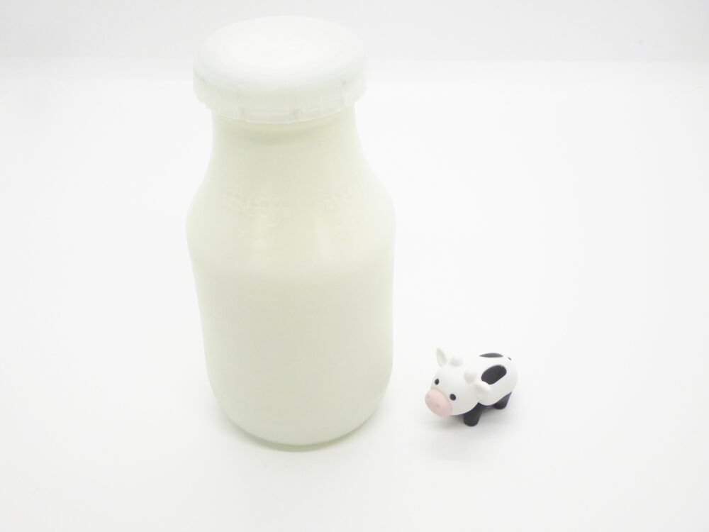 牛乳と牛