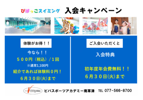 【びばっこスイミング】スイミング紹介キャンペーン開催！ チラシ画像
