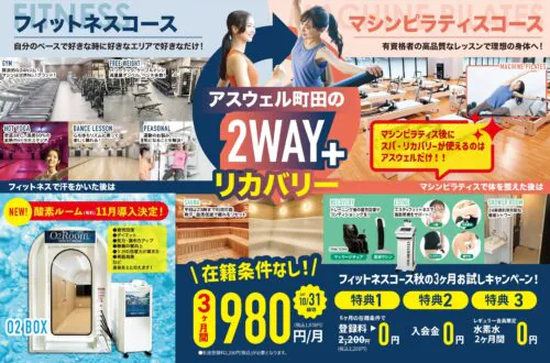 【10/31迄】スタート応援キャンペーン！3ヶ月間980円/月 チラシ画像
