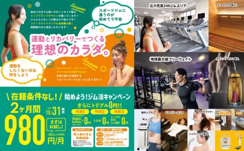 【10/31まで】2ヶ月間980円/月！さらにお得なトリプル0円特典！ チラシ画像
