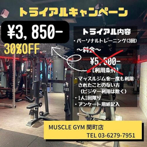 トライアルキャンペーン！パーソナル体験3回￥3,850！ チラシ画像